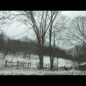 Meet your Posher, Zehavit